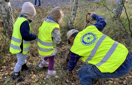 Full fart med plantering av lökar till Kungsängsliljan.